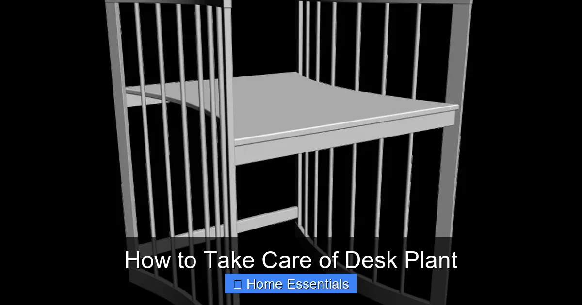 How to Take Care of Desk Plant