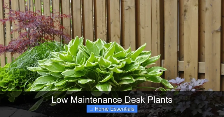 Low Maintenance Desk Plants