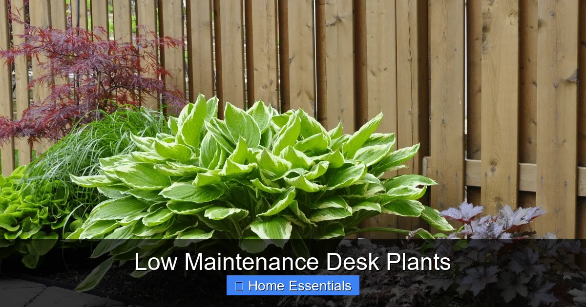 Low Maintenance Desk Plants