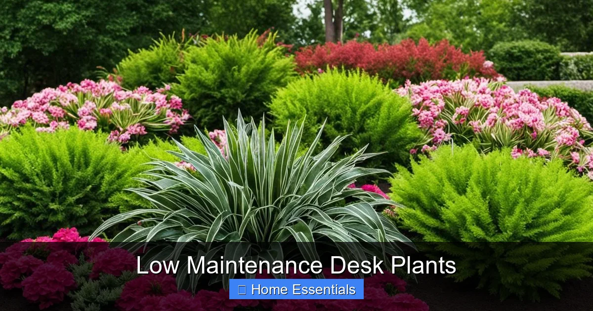 Low Maintenance Desk Plants