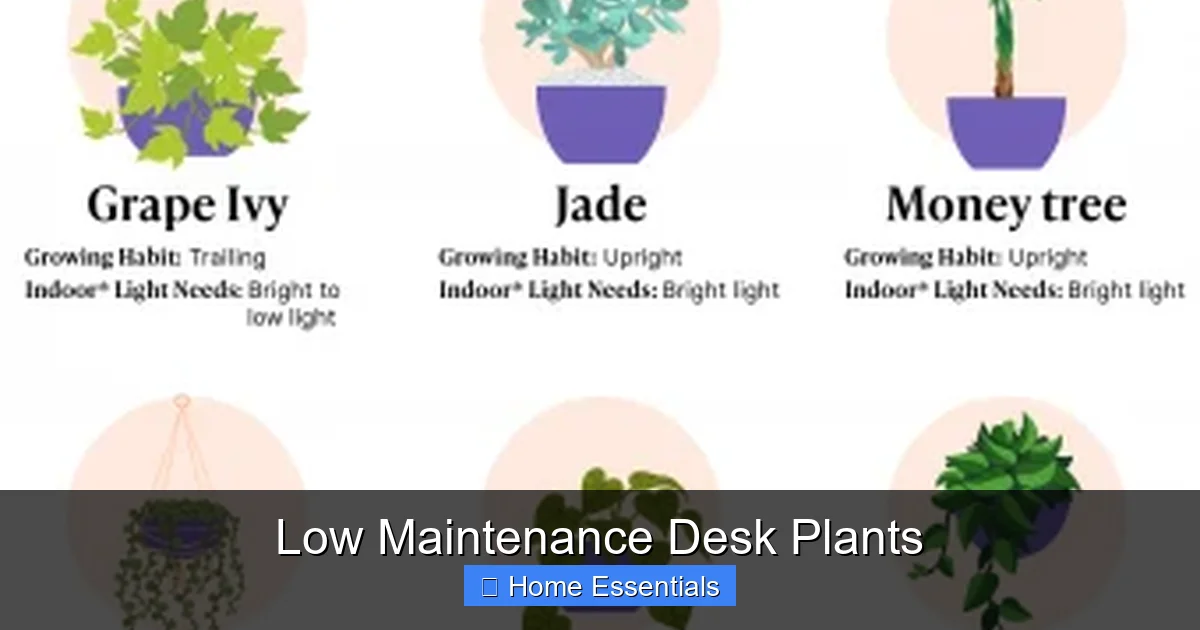 Low Maintenance Desk Plants