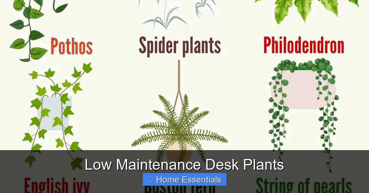Low Maintenance Desk Plants