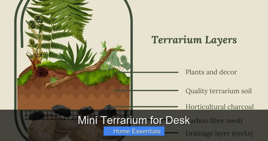 Mini Terrarium for Desk