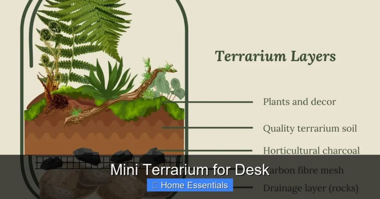 Mini Terrarium for Desk