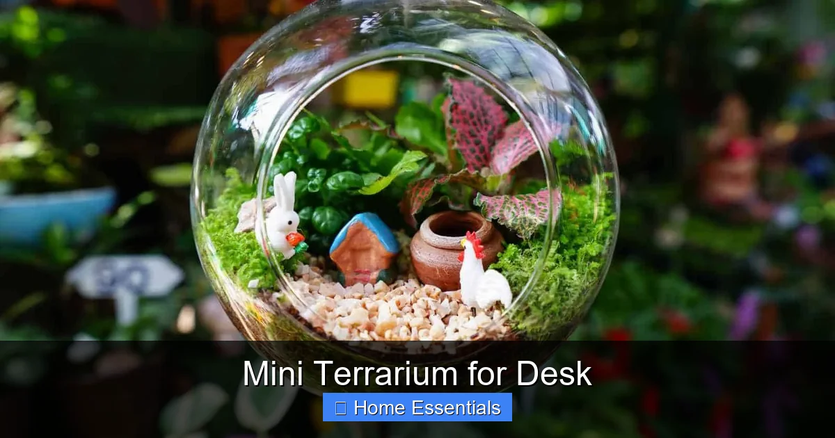 Mini Terrarium for Desk