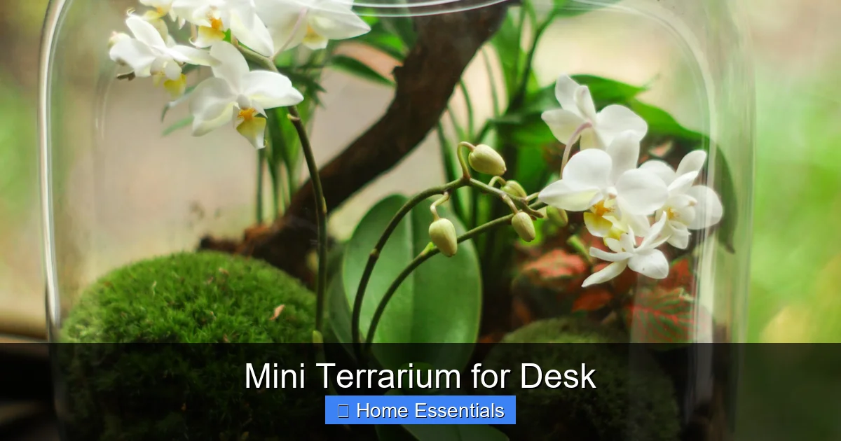 Mini Terrarium for Desk