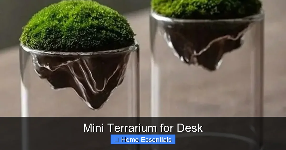 Mini Terrarium for Desk