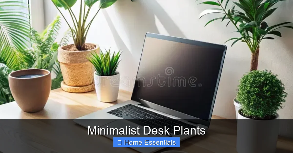 Minimalist Desk Plants
