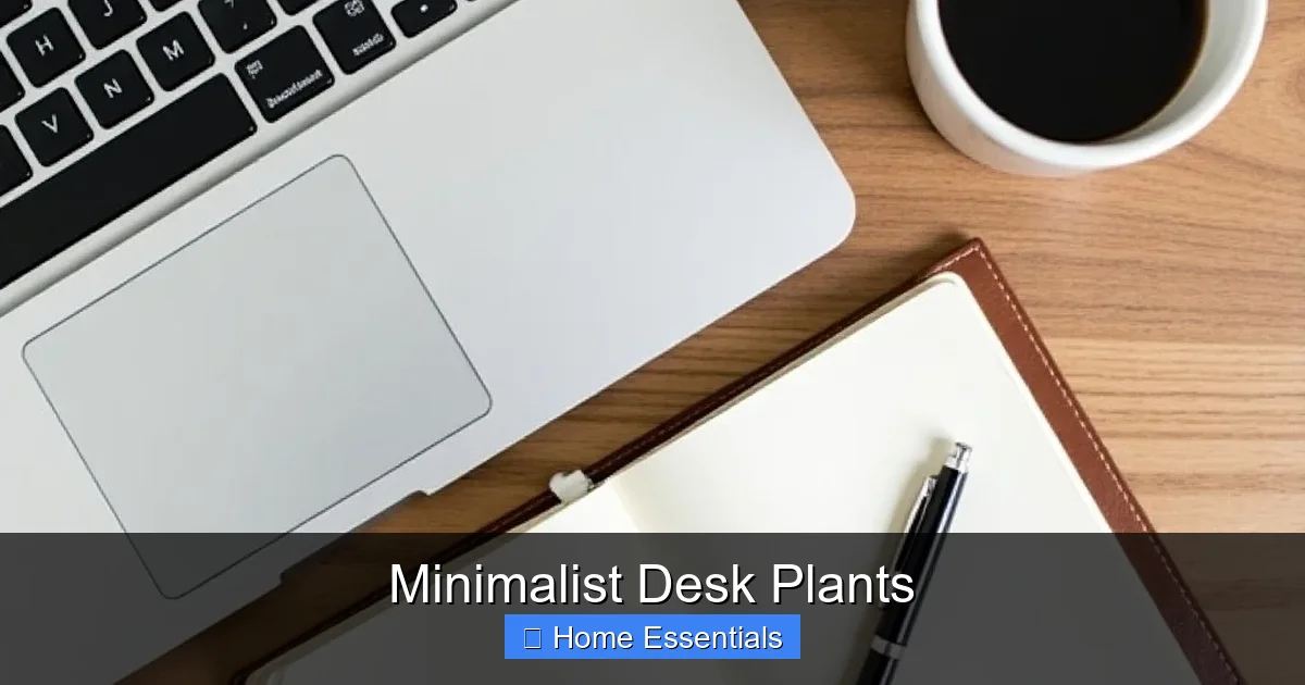 Minimalist Desk Plants