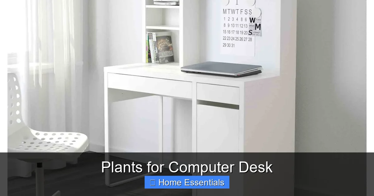 Plants for Computer Desk