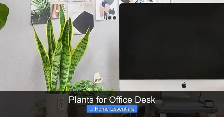Plants for Office Desk