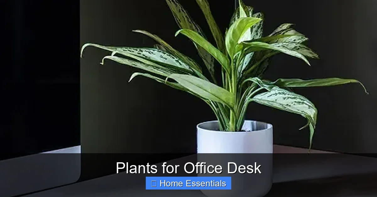 Plants for Office Desk