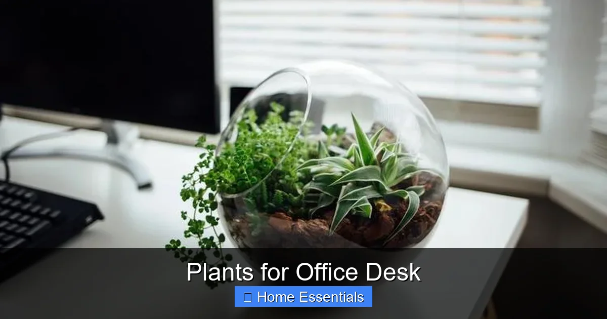 Plants for Office Desk