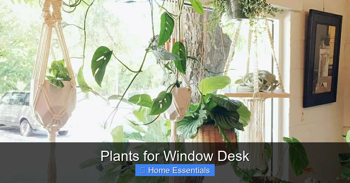 Plants for Window Desk