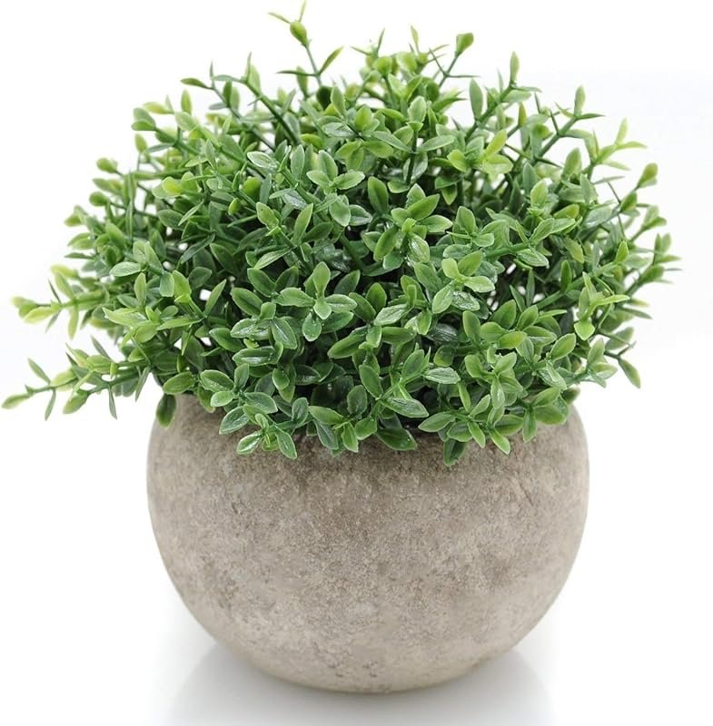 Velener Mini Sage Green Potted Boxwood Topiary Artificial Plants for H