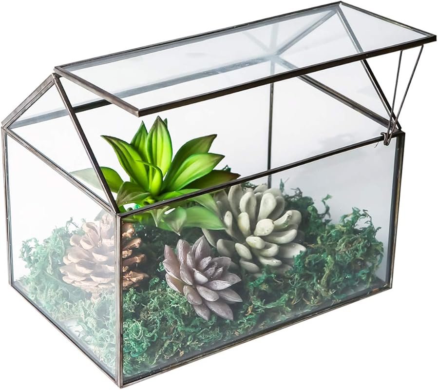 Geometric House Shape Glass Terrarium with Swing Lid for Succulent, Mo