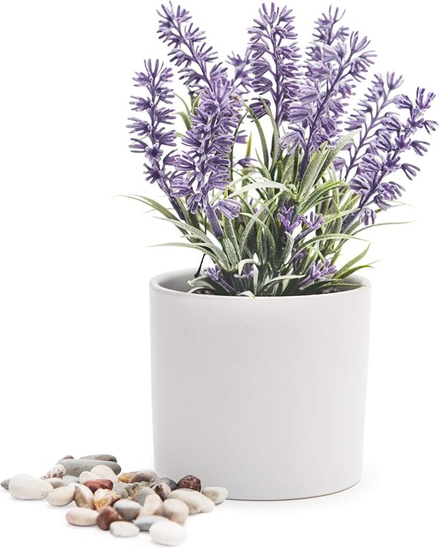 Kurrajong Artificial Lavender Plant in Small White Matte Ceramic Pot f