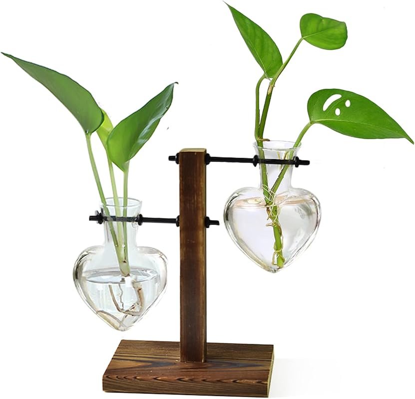 XXXFLOWER 2-Bulb Terrarium Wooden Stand - Retro Glass Bulb Vase for Hy