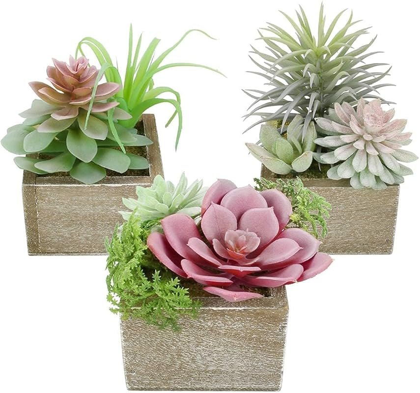 3 Pack Artificial Succulent Plants in Wooden Pot - Small Fake Succulen