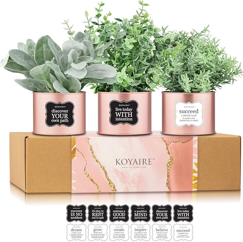 KOYAIRE 3 Motivational Faux Plants: Rose Gold Desk Decor for Office, H