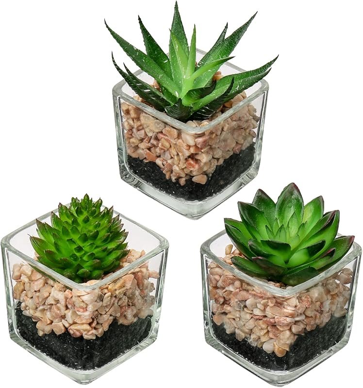 Briful Set of 3 Artificial Succulents in Glass Pots for Home Office Ta