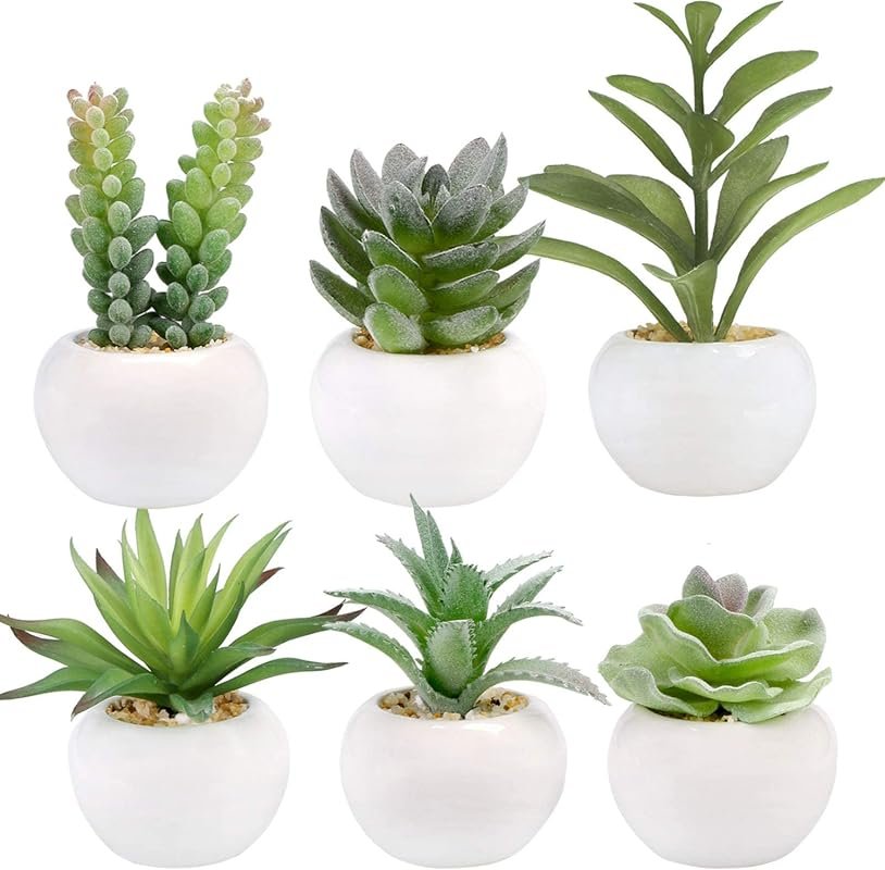 GREENTIME 6-Pack Artificial Succulent Plants in Ceramic Pots for Bedro