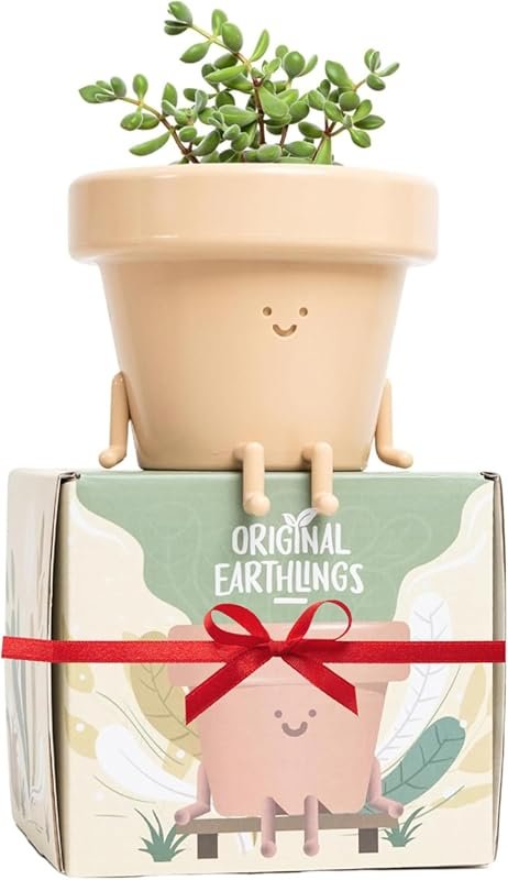 Original Earthlings 4 Inch Cute Plant Pot with Drainage Plug for Succu