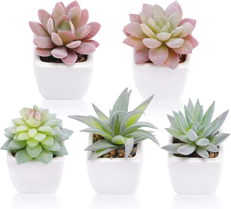 Top 10 Plants For Small Desk for 2026 – Expert Reviewed