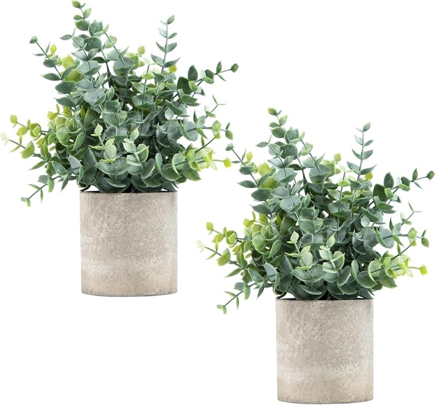 2-Piece Mini Artificial Eucalyptus Plants with Sage Green Potted Desig