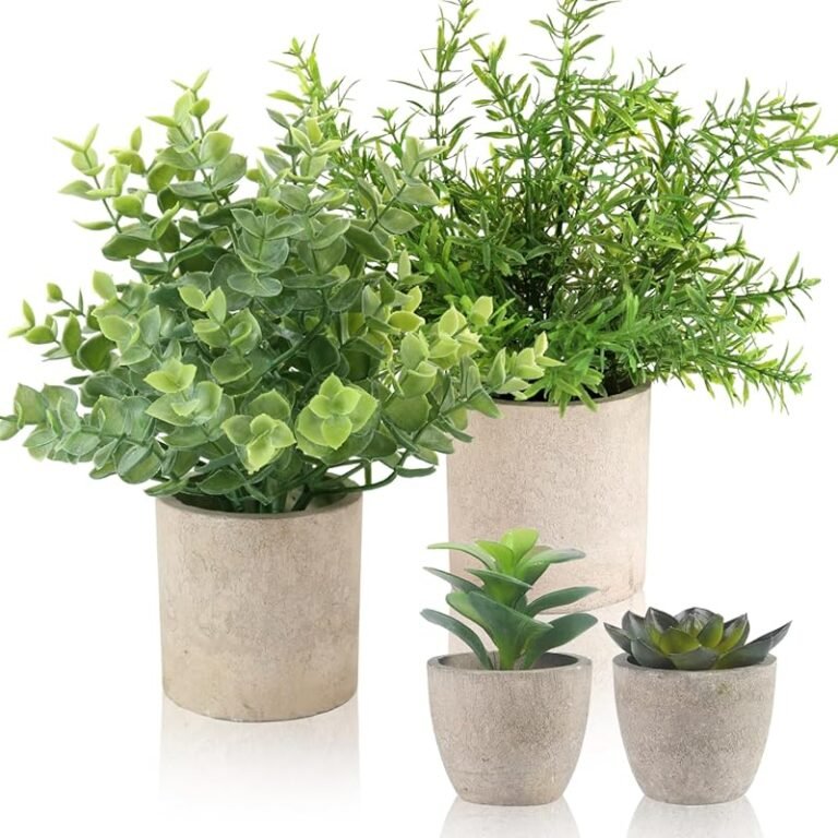 10 Best Plants For Corner Desk for 2026 – Expert Reviewed