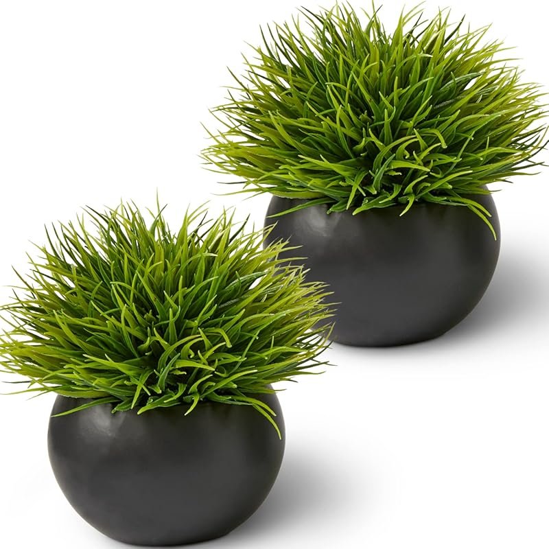 SEEKO Artificial Succulents Ceramic Pots 2 Pack - Realistic Premium Fa
