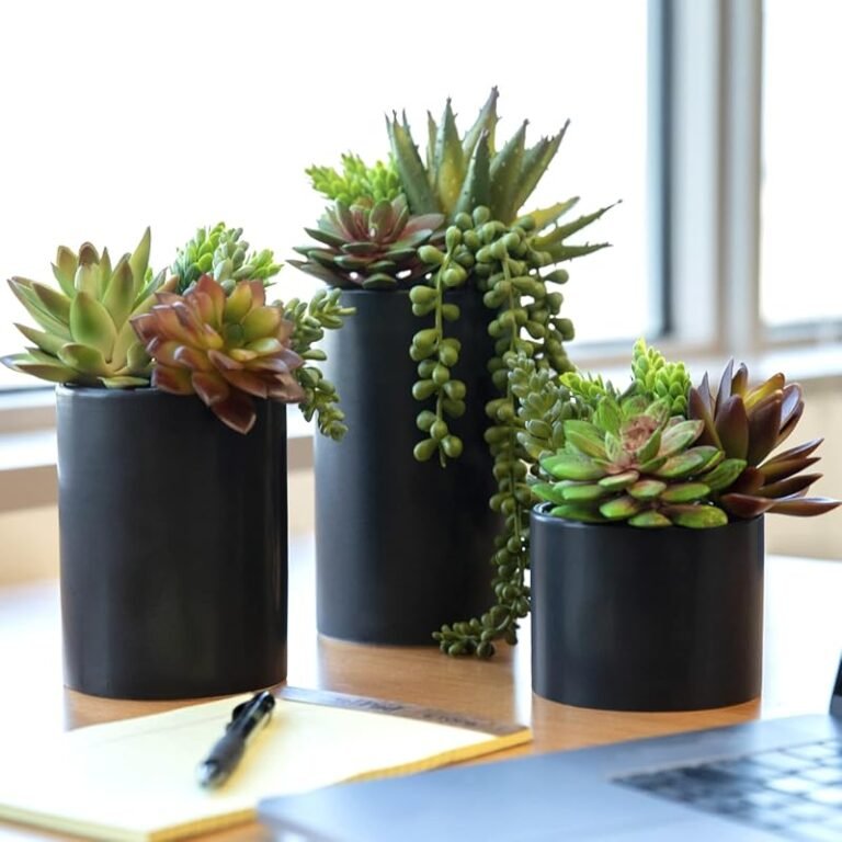 Top 10 Premium Desk Plants for 2026 – Expert Tested