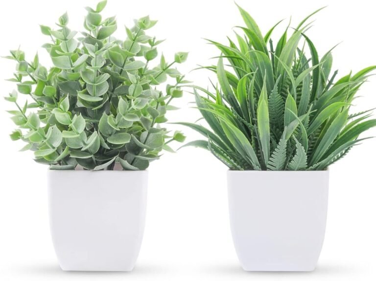Best 6 Cubicle Plants for 2026: Expert Reviewed