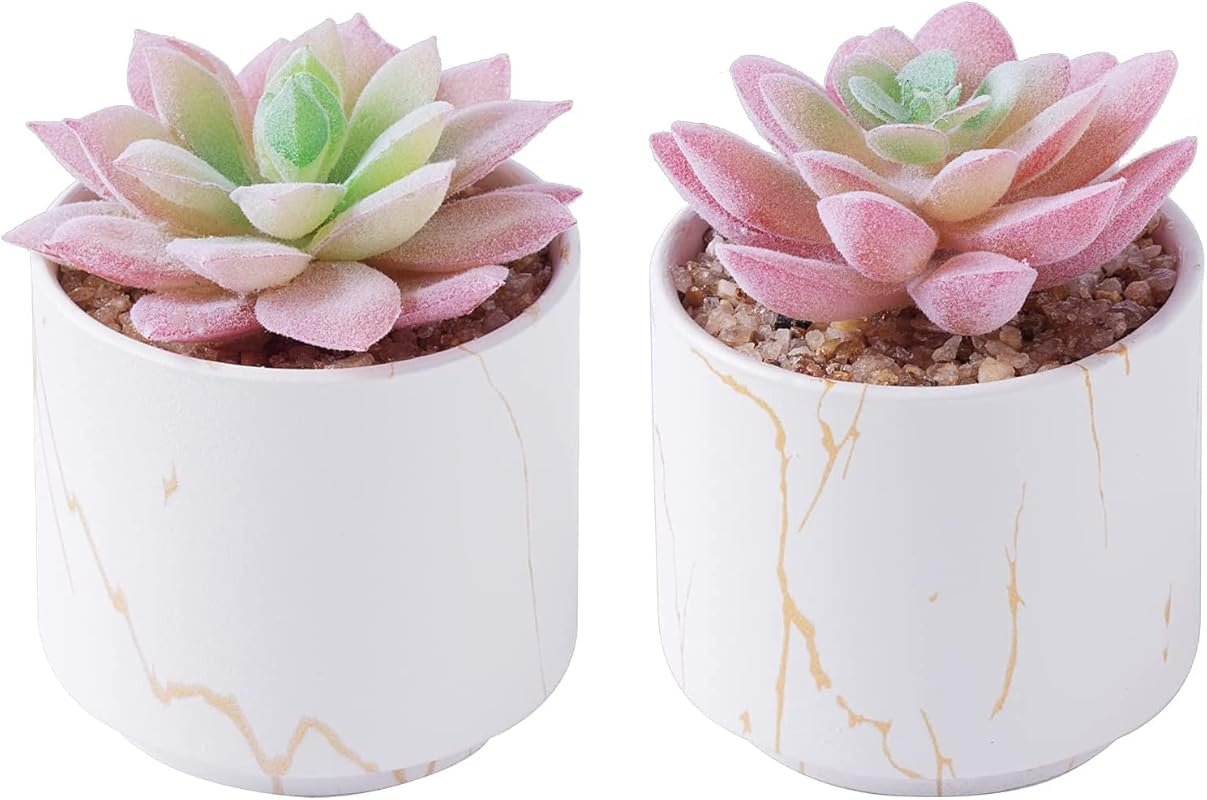 zenmag Mini Artificial Succulents in White Ceramic Pots for Desk Livin