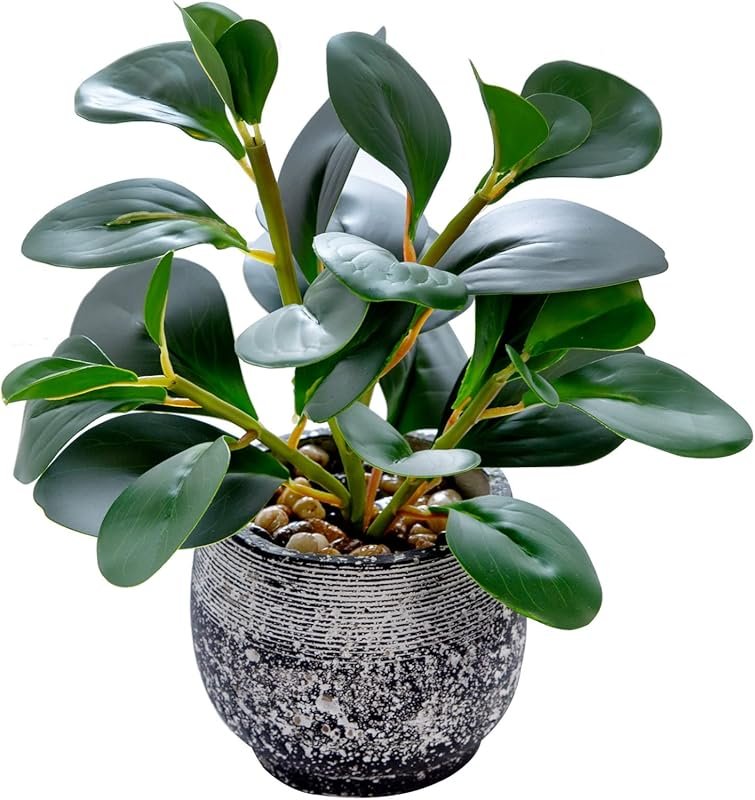 AlphaAcc Artificial Ficus Plant in Rustic Black Cement Planter for Kit