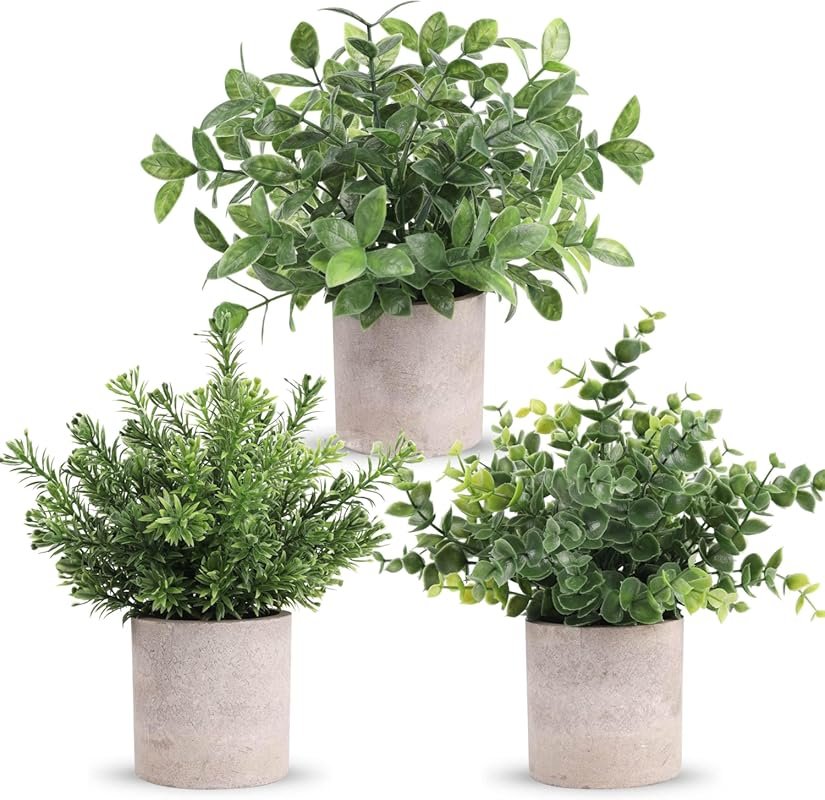 Der Rose 3-Pack Mini Potted Artificial Eucalyptus Topiaries for Home O