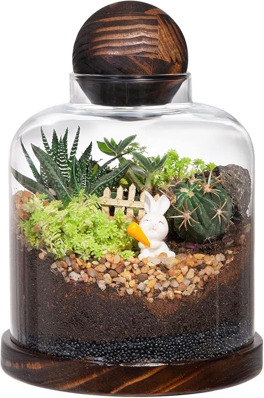Yangbaga Large Glass Terrarium with Wood Base & Ball Lid for Succulent