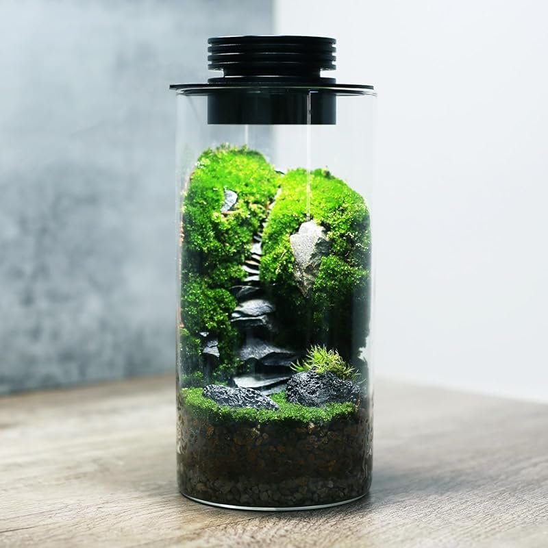 Desktop Glass Terrarium with Grow Light 7.8x4 for Succulent, Moss, Min