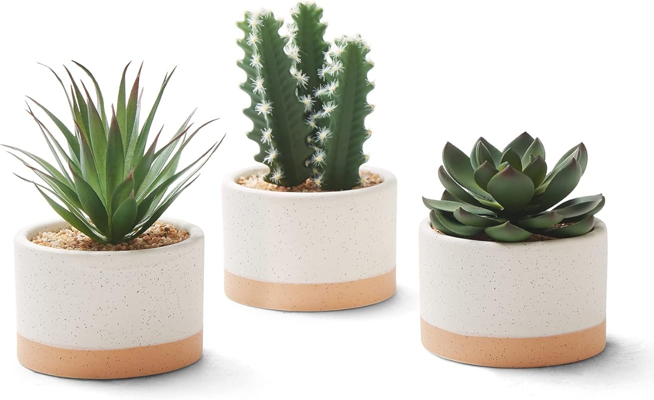 Assorted Artificial Succulent Plants in Ceramic Pots - Faux Cactus Set