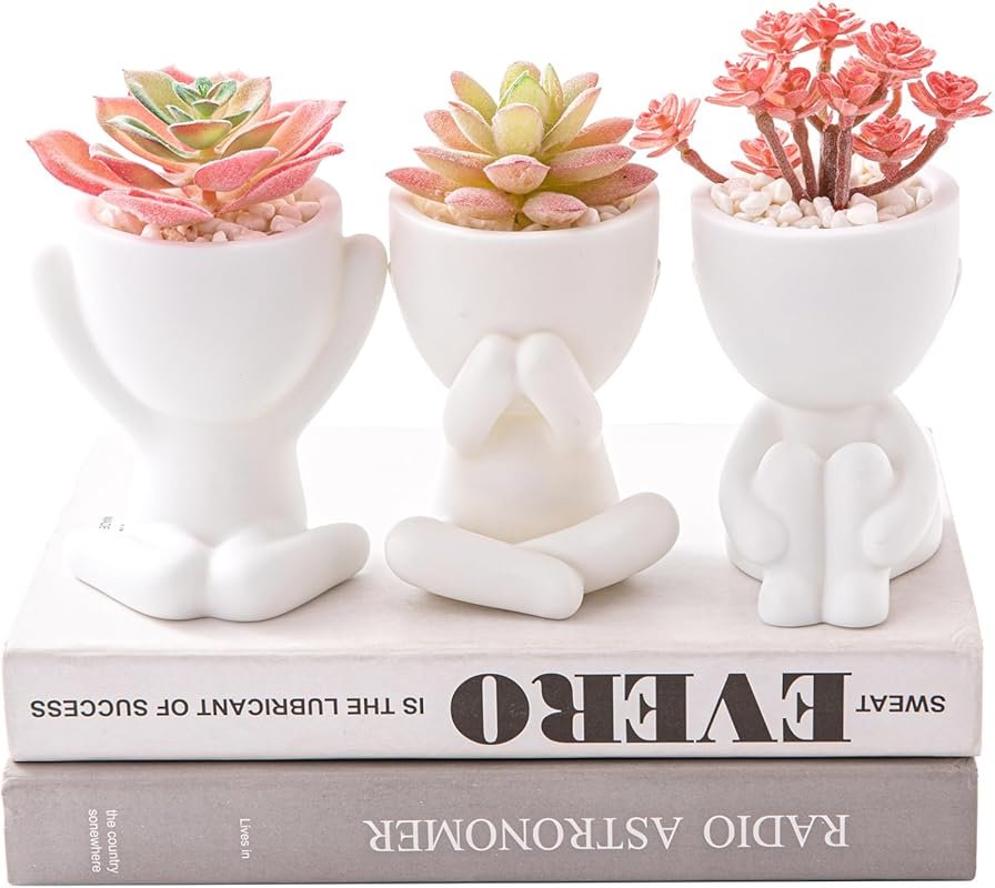 HEYO-YEPY 3PCS Artificial Plants in White Pots with Pink Flowers for A