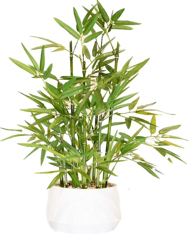 365 Blooming Decor 18 Inch White Pot Artificial Bamboo Plant - Money T