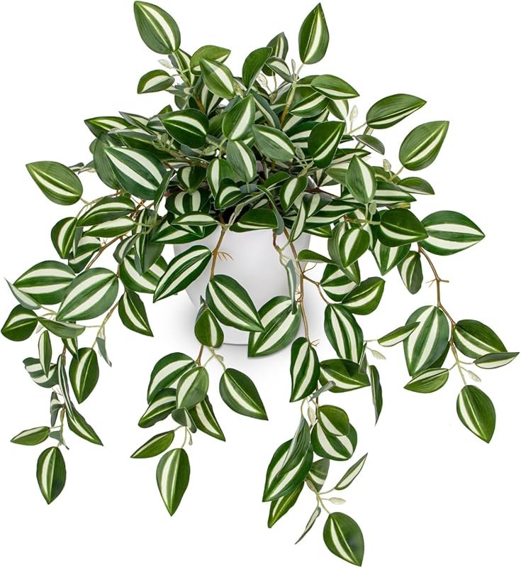 Briful Faux Watermelon Peperomia Cascading Vine Plant - 1 Pack Silk Po