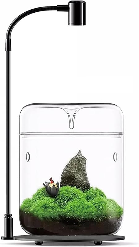 Glass Terrarium with Light and Lid for Succulents, Fern, Moss, Micro-L