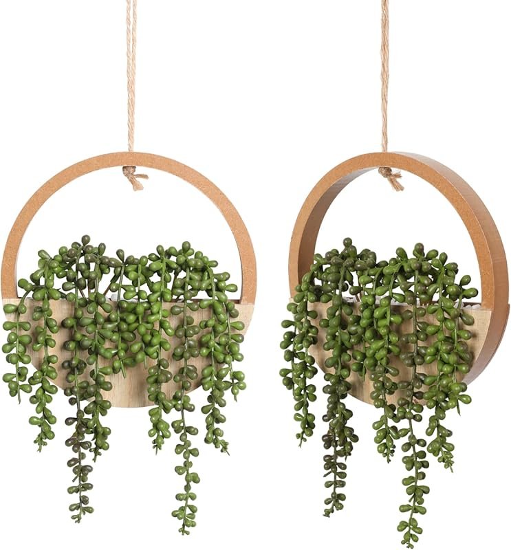 Floweroyal 2pcs Artificial Hanging Succulents - 12.2