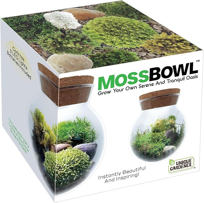 The Unique Gardener's Moss Bowl Terrarium Kit with LED Light for Indoo