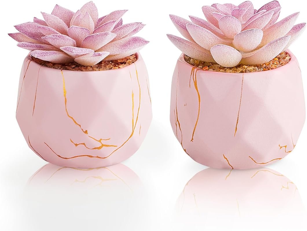 Artificial Succulent Plants in 2 Pink Ceramic Pots - Cute Fake Plants 