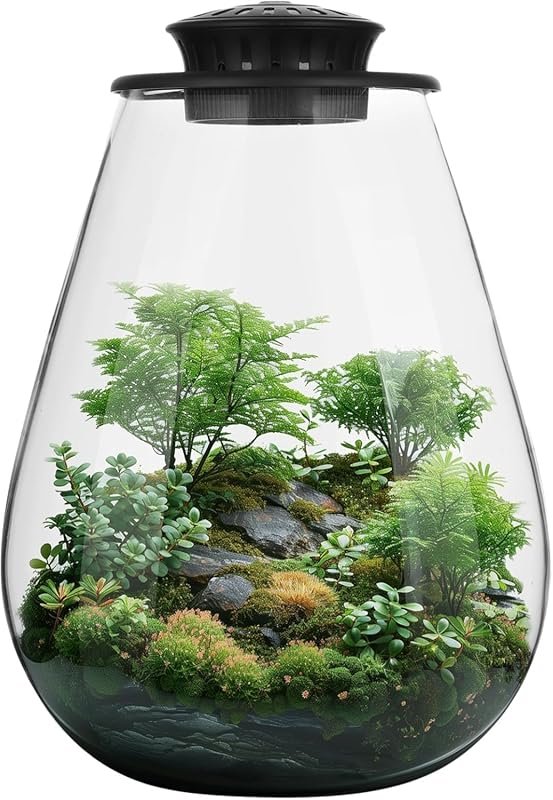 Mini Glass Terrarium with Grow Light for Succulents, Moss, Gardens, Fi