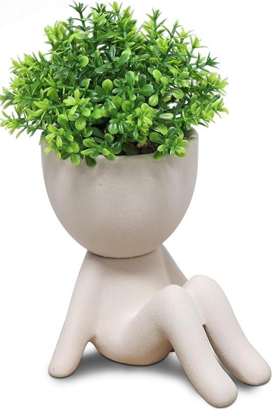 Zerzsy Artificial Succulent Plant Set of 1 for Room, Bathroom, Home, O