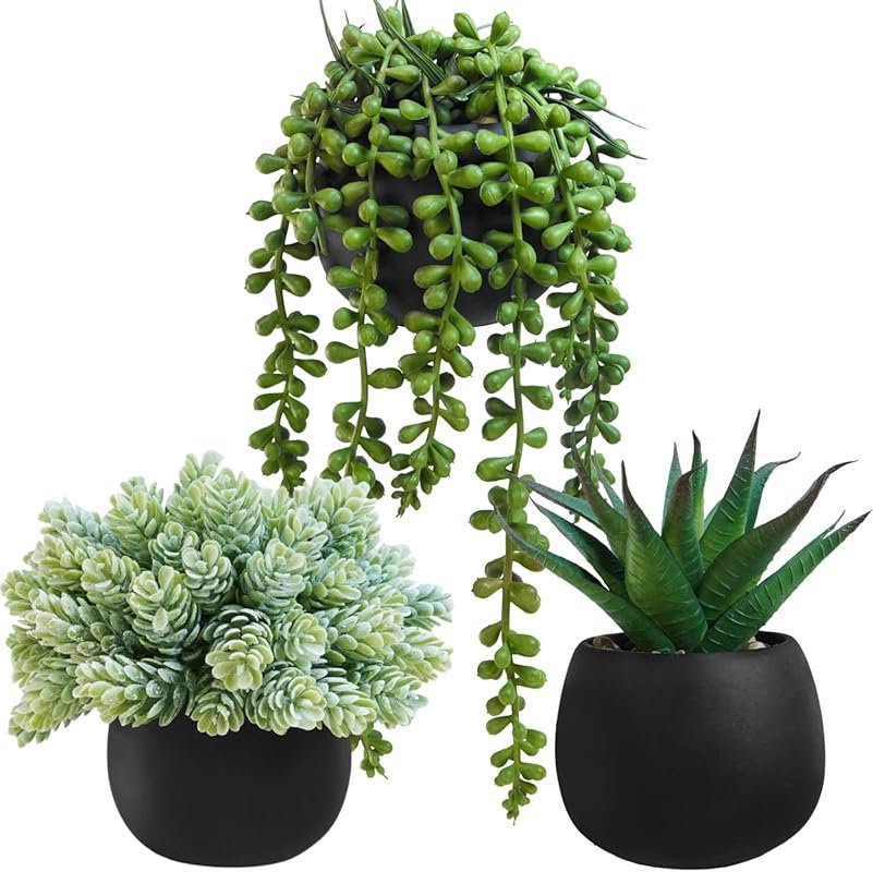 Winlyn 3 Artificial Succulent Plants in Black Concrete Pots – Aloe, Ho