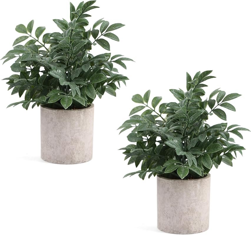 2 Pack Small Potted Artificial Herb Plants for Desk Shelf Home Bathroo